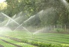 Bucasialandscaping-water-management-and-drainage-17.jpg; ?>